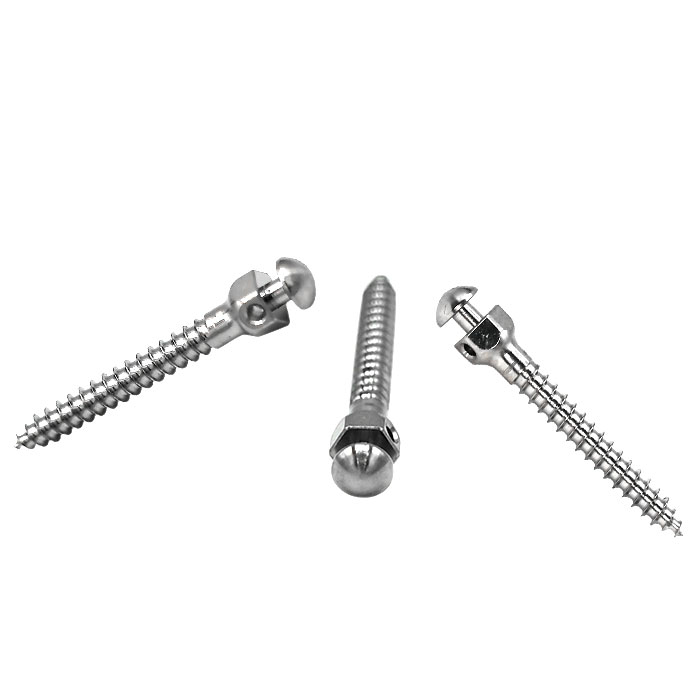 پیچ مینی اسکرو Protect - 1