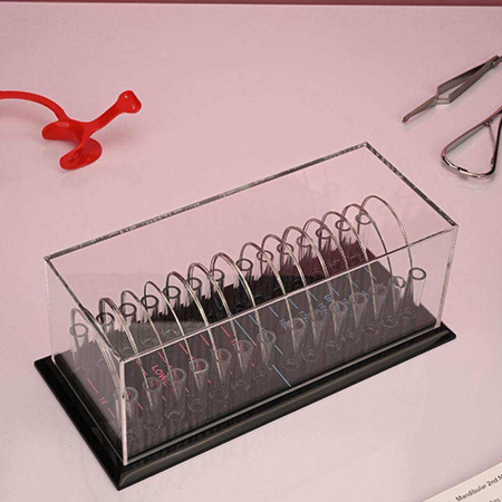 جای آرچ وایر - 2